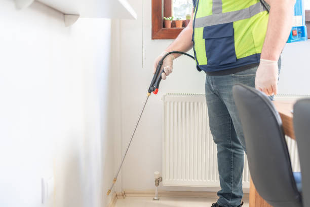 Professional Pest Control in Iowa Park, TX