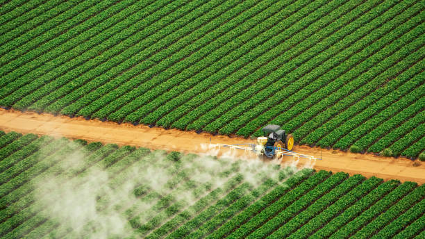 Best Pest Inspection Near Me  in Iowa Park, TX